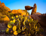 Balanced Rock and Cacti, Big Bend National Park, Texas (4x5)